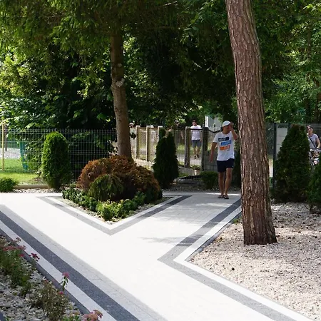 Olivia Дарлувко