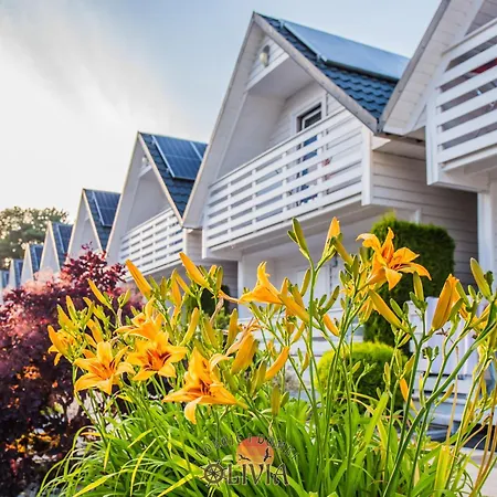 Olivia Lodge Darlowko