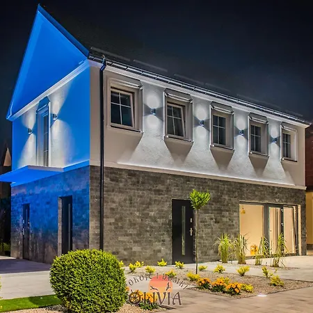 Olivia بيت خشبي دارووفكو