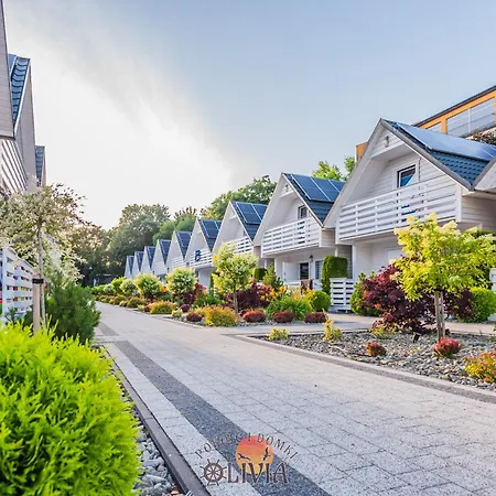 Olivia بيت خشبي دارووفكو